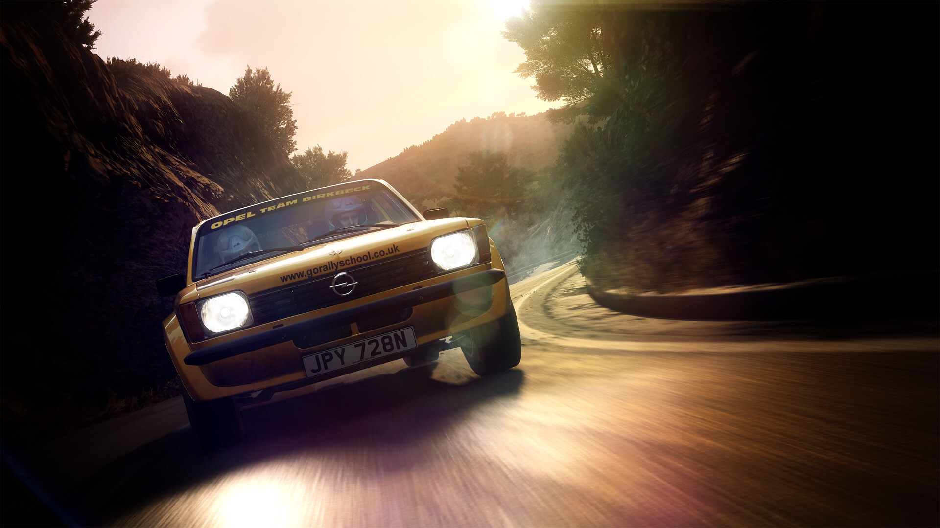 DiRT Rally 2.0 screenshot 15