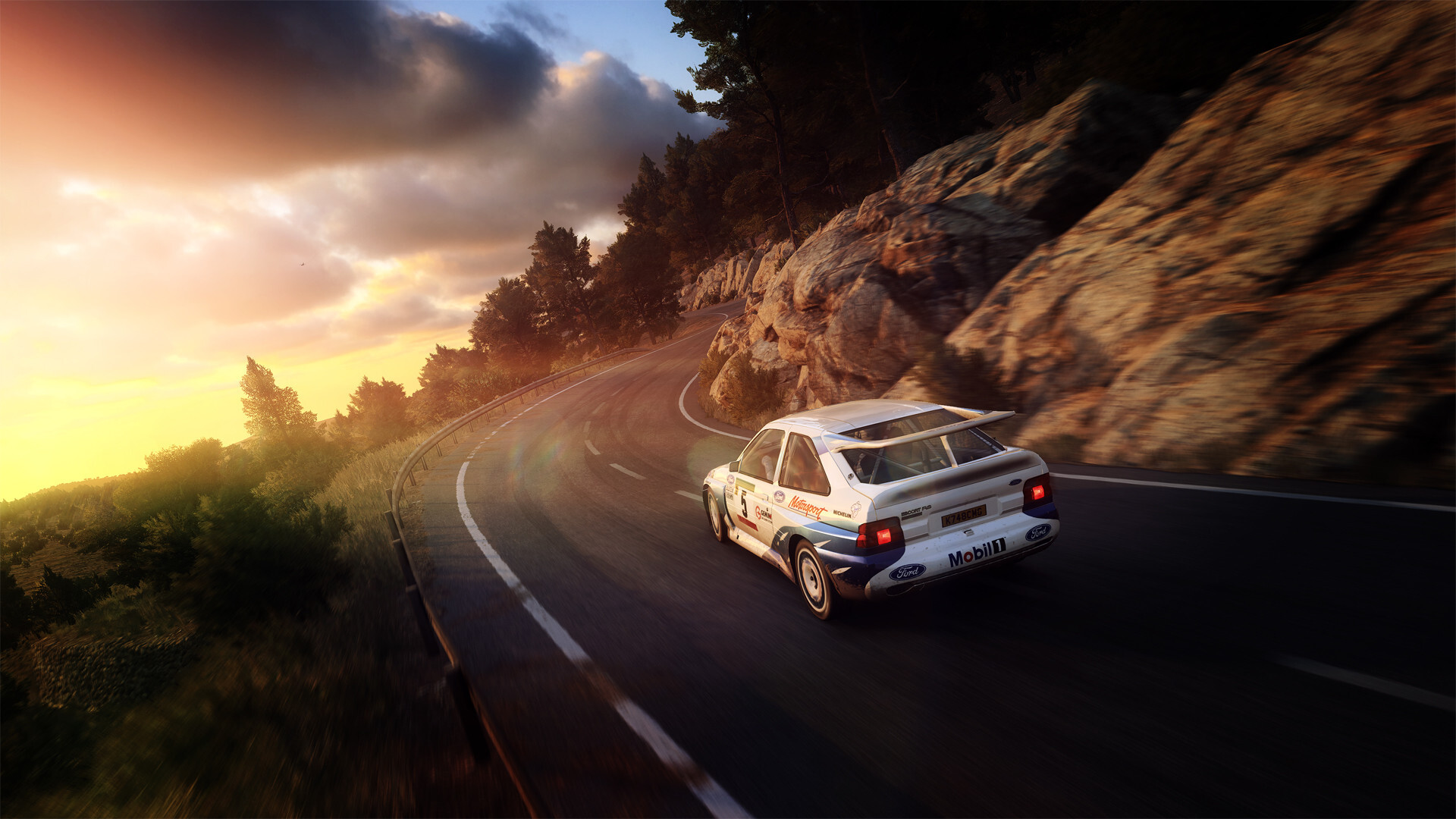 DiRT Rally 2.0 screenshot 17