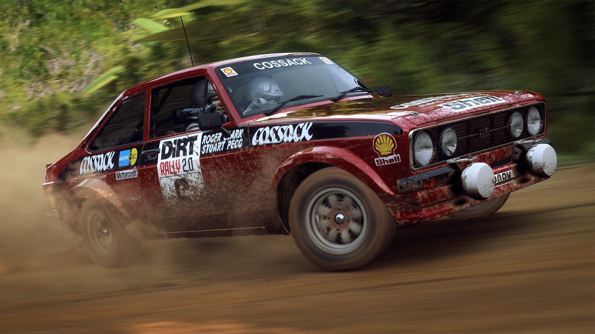 DiRT Rally 2.0 screenshot 19