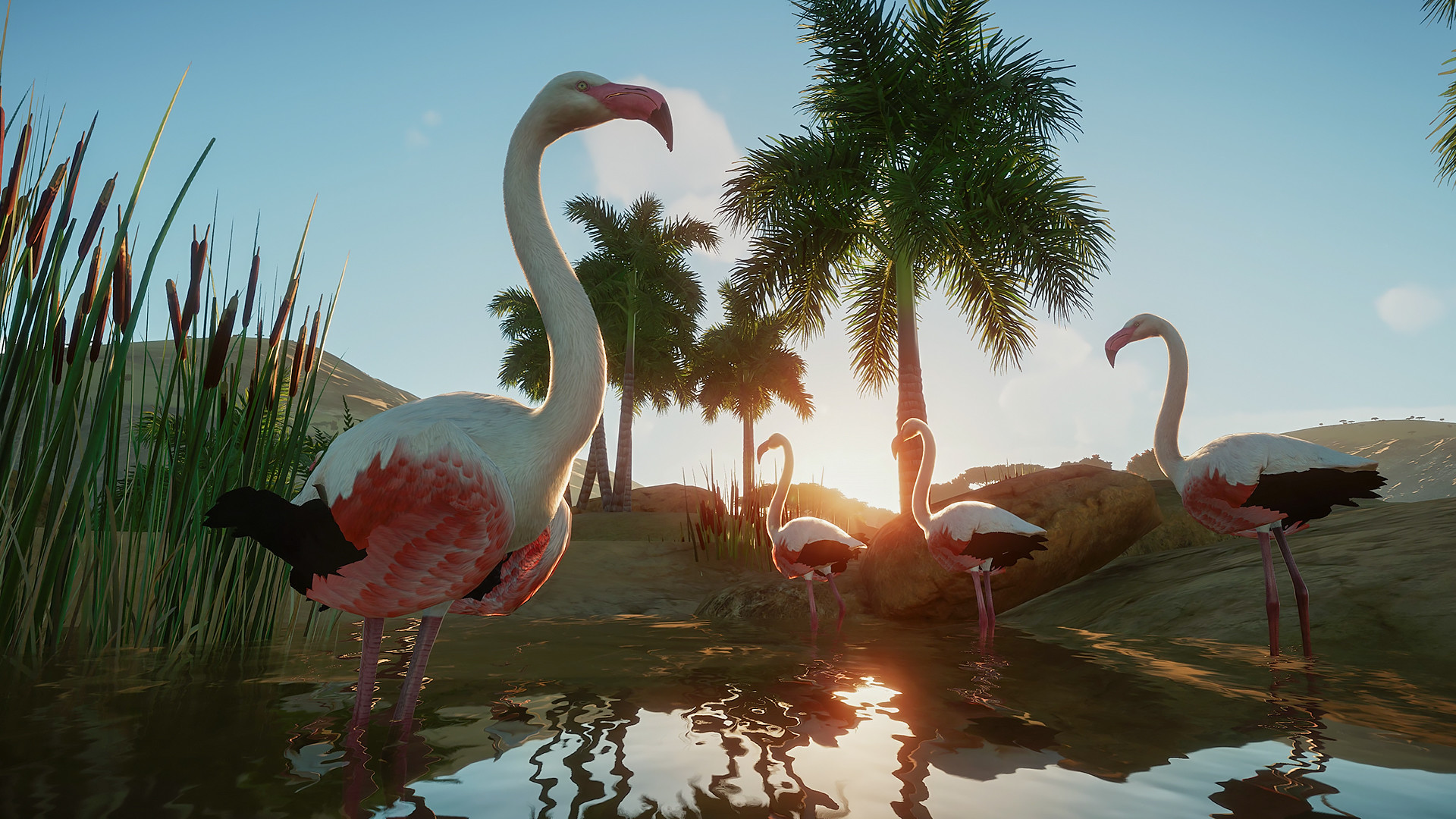 Planet Zoo screenshot 23