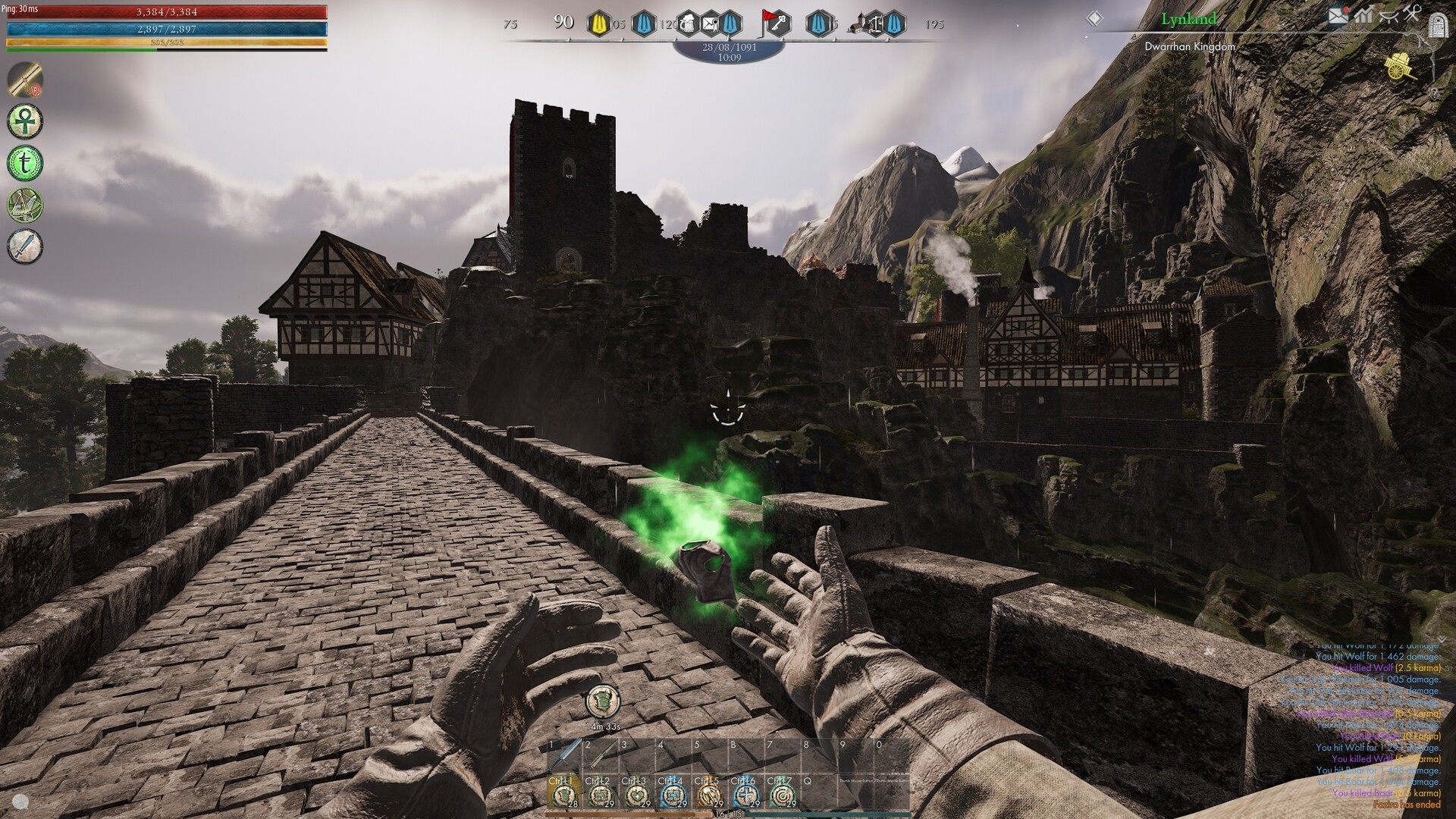 Reign of Guilds screenshot 16
