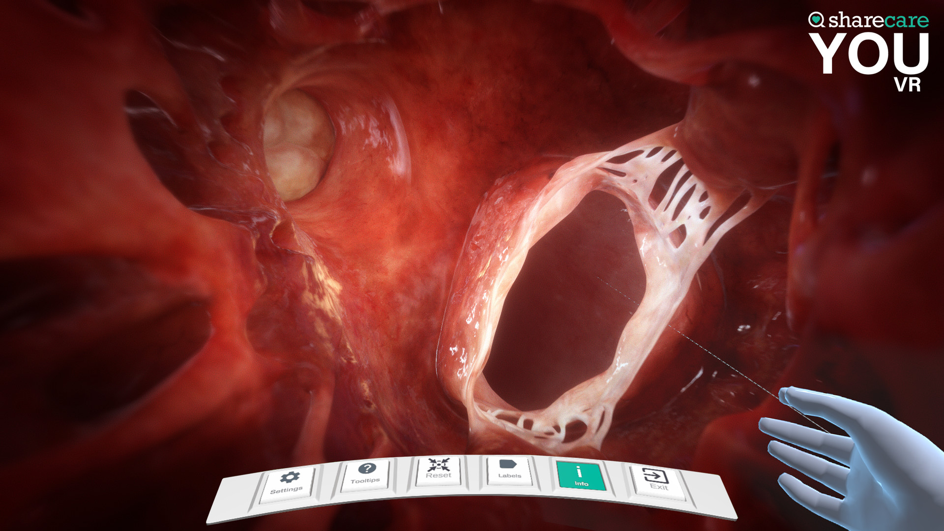 Sharecare YOU VR screenshot 8