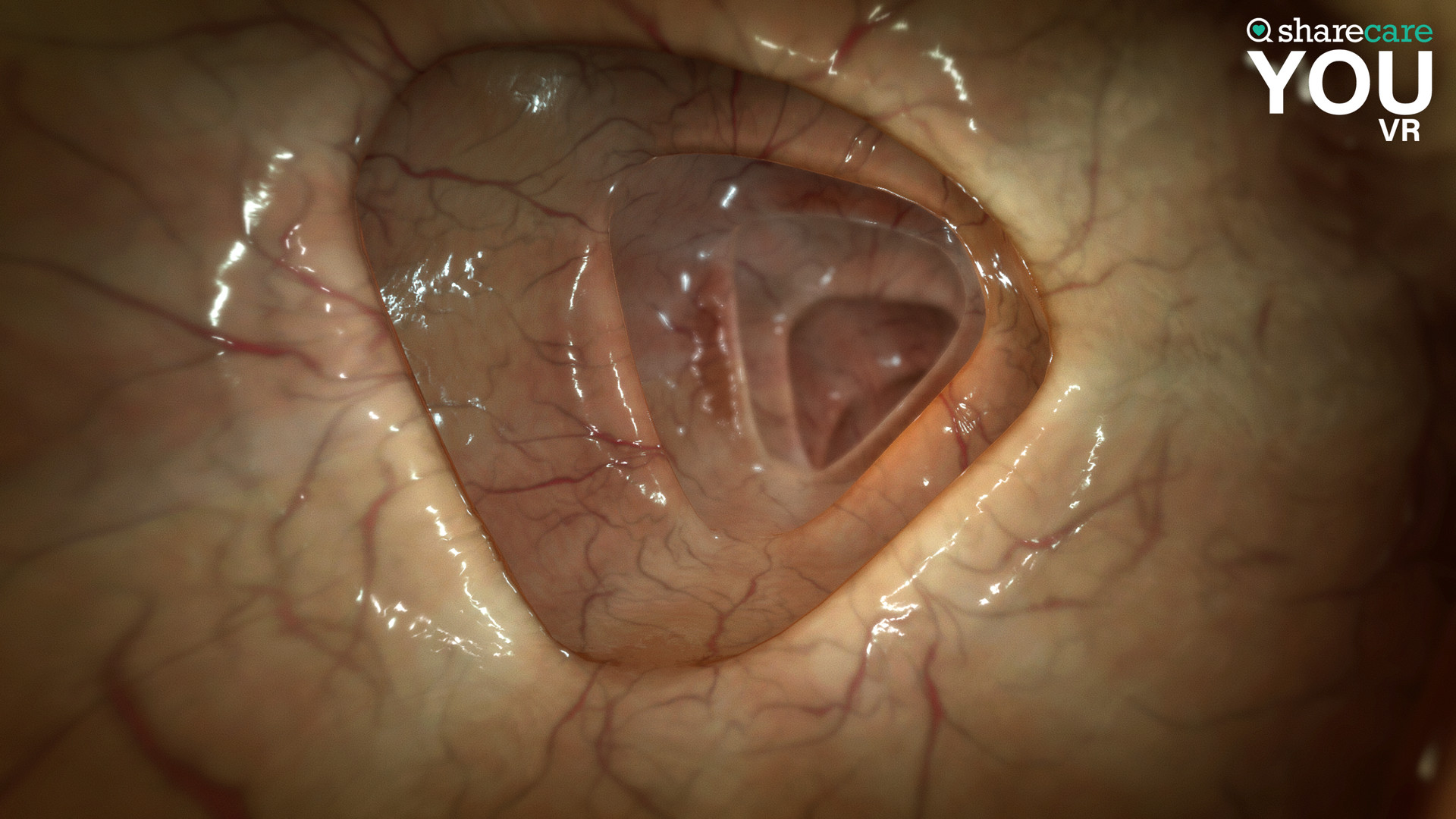 Sharecare YOU VR screenshot 6