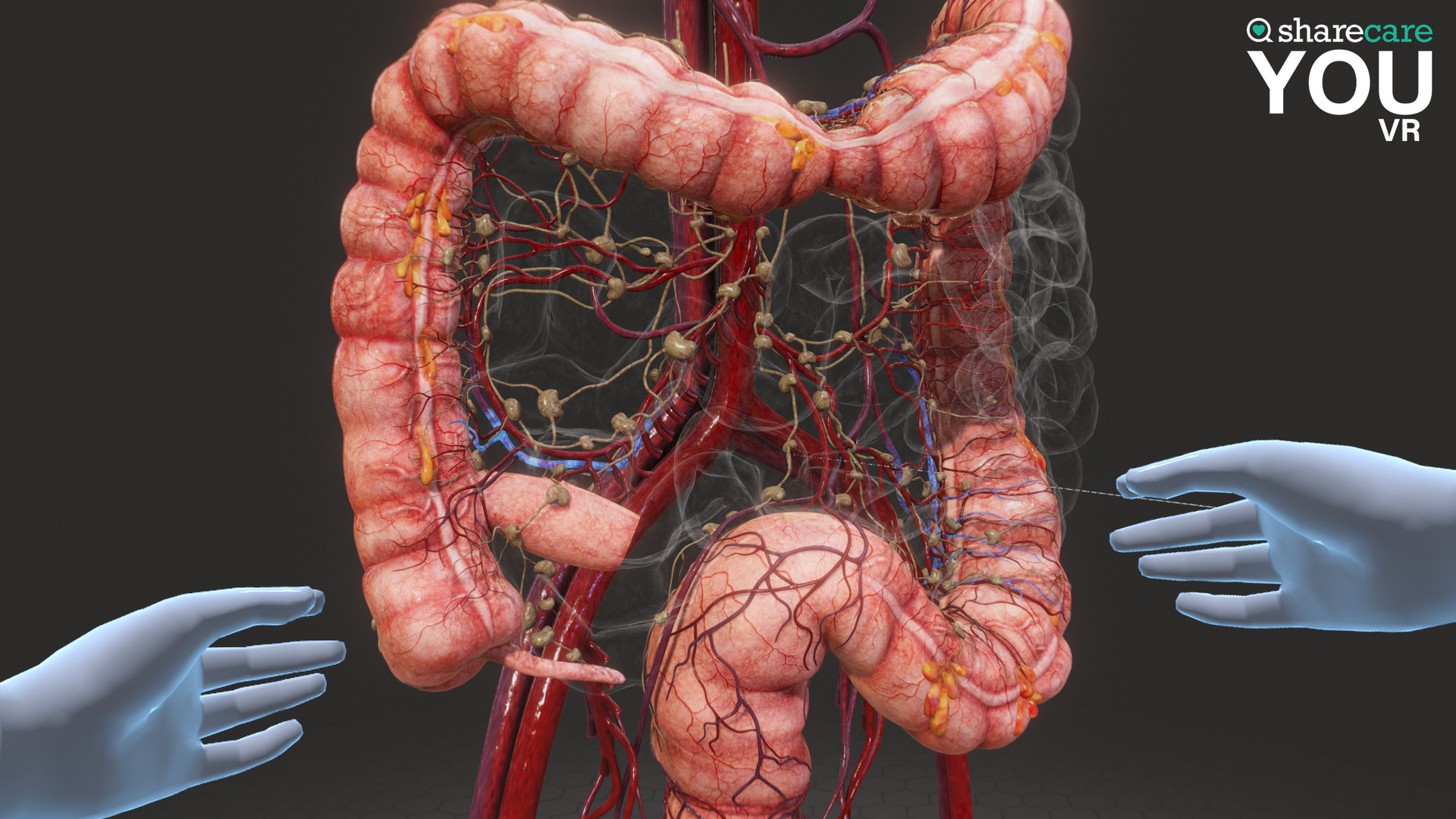 Sharecare YOU VR screenshot 9