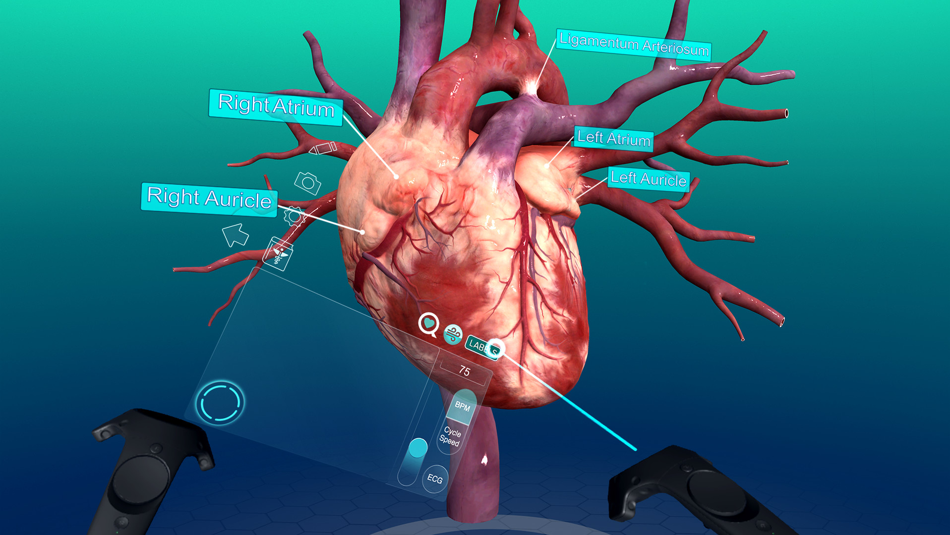 Sharecare VR 2017 screenshot 3