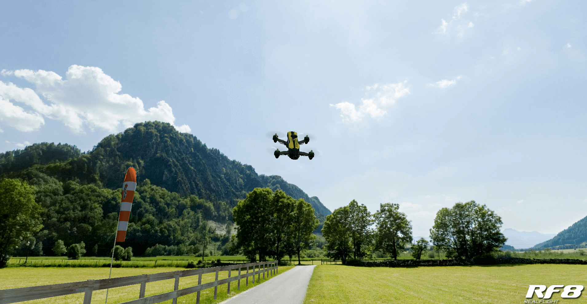 RealFlight 8 screenshot 5