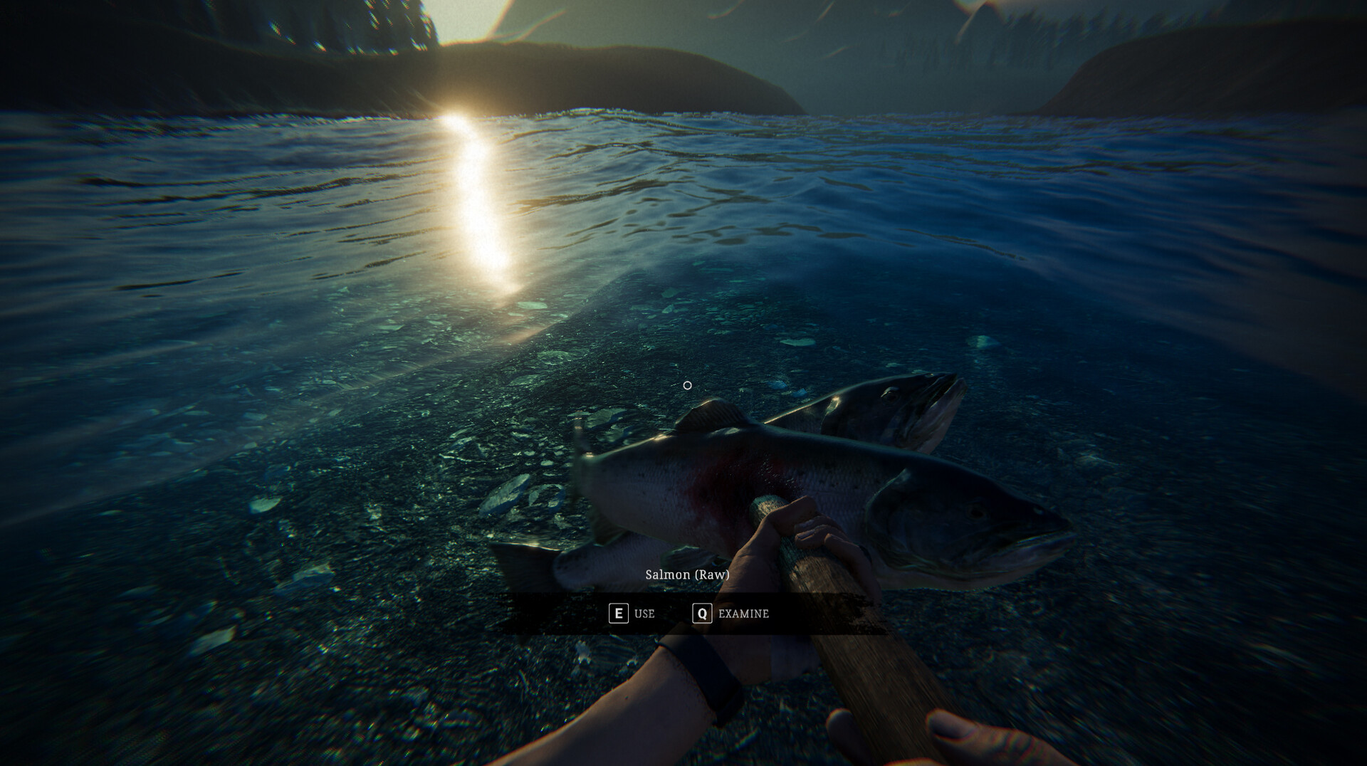 Zero Symptom screenshot 2