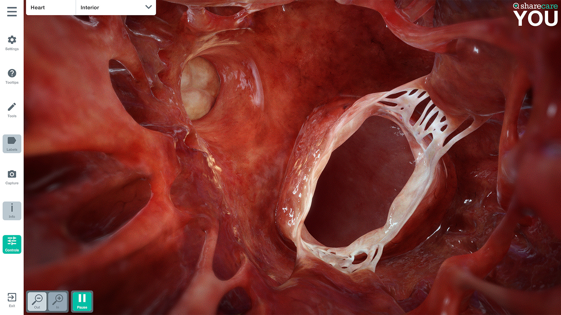 Sharecare YOU screenshot 11