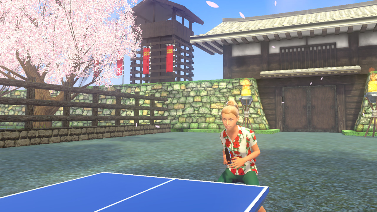 VR Ping Pong Paradise screenshot 5