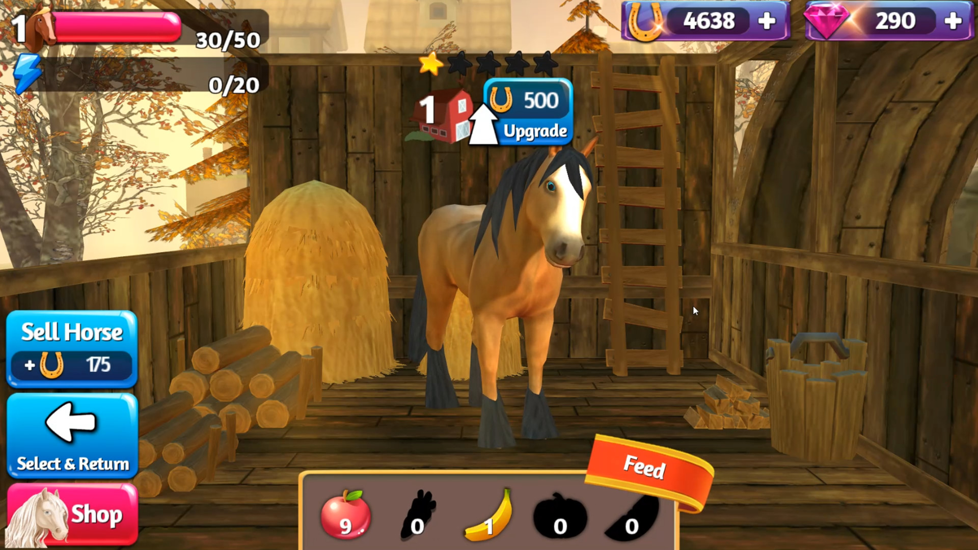 Horse Paradise - My Dream Ranch screenshot 3