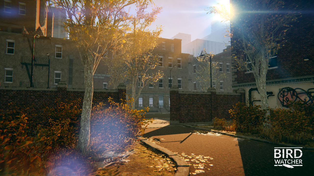 Bird Watcher screenshot 3
