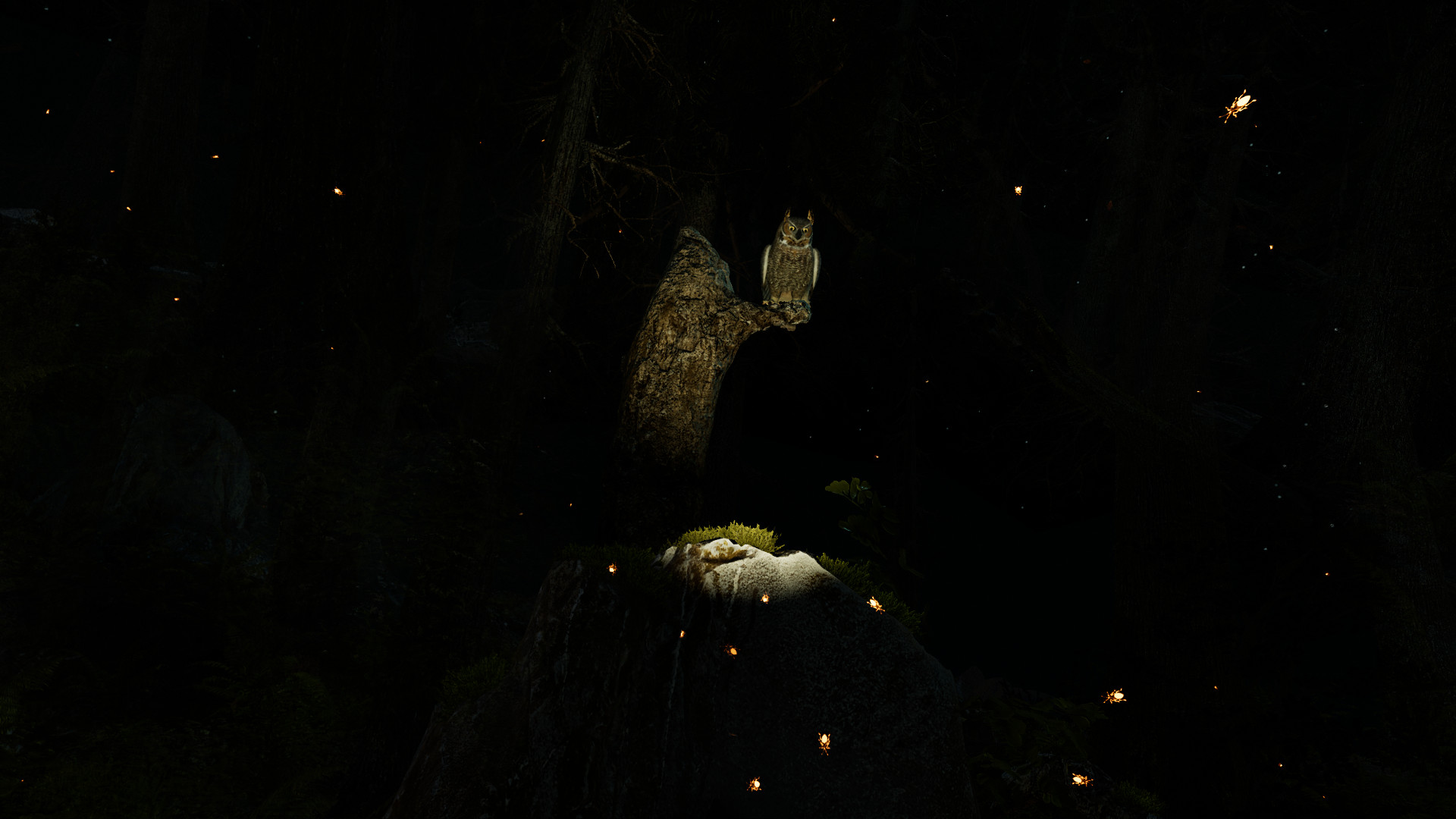 Shinrin-yoku: Forest Meditation and Relaxation screenshot 2