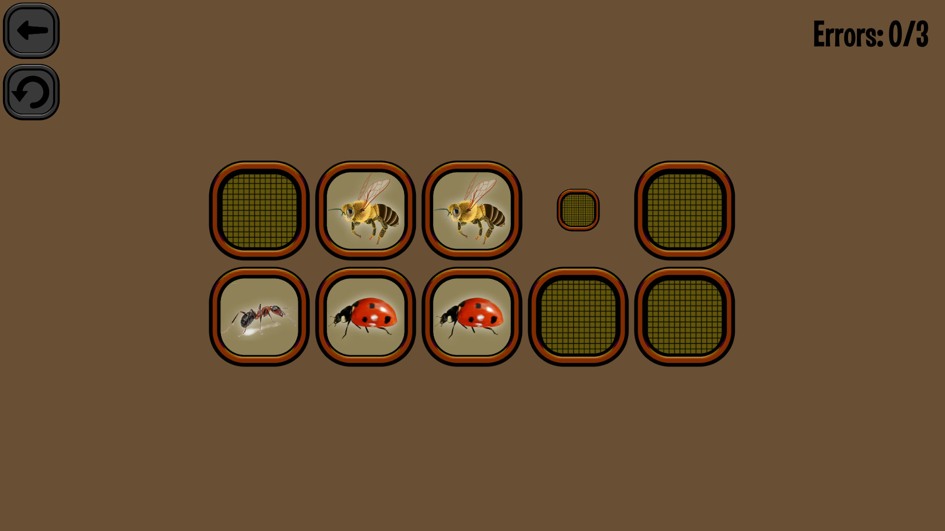 Animals Memory: Insect screenshot 5
