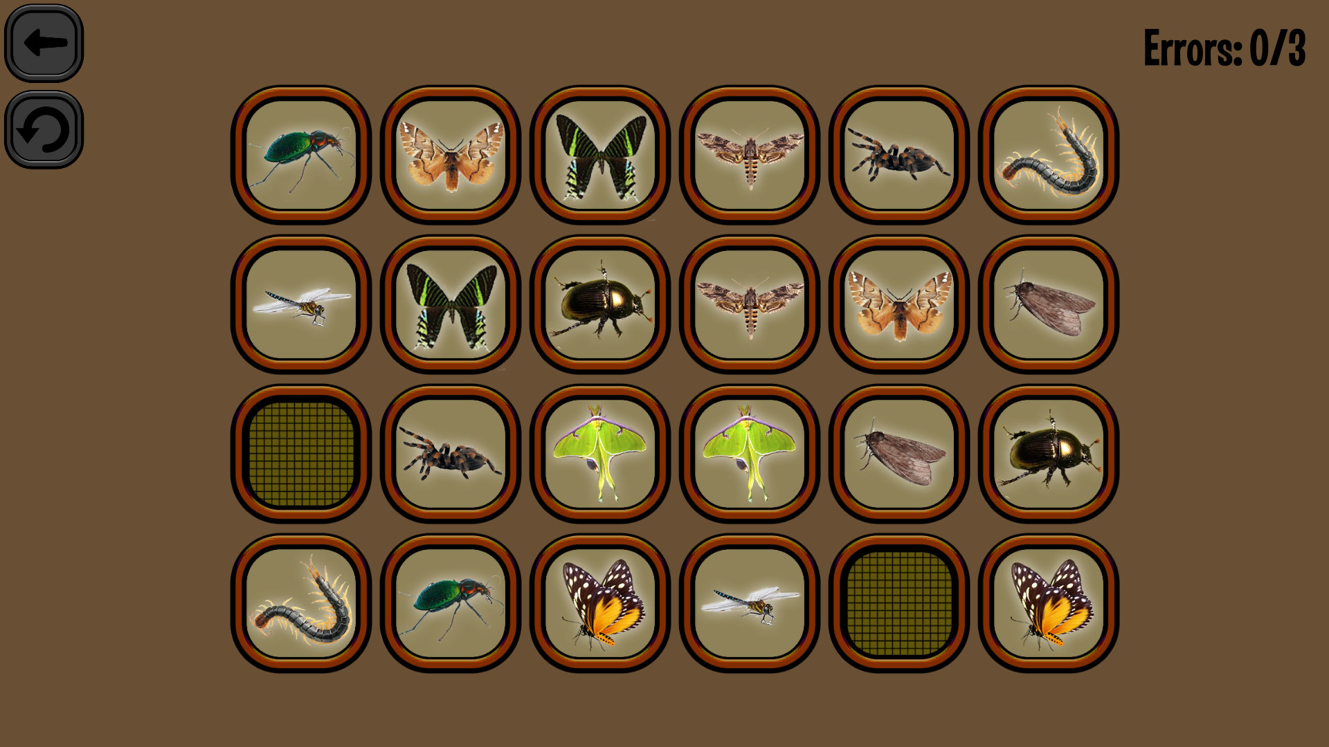 Animals Memory: Insect screenshot 3