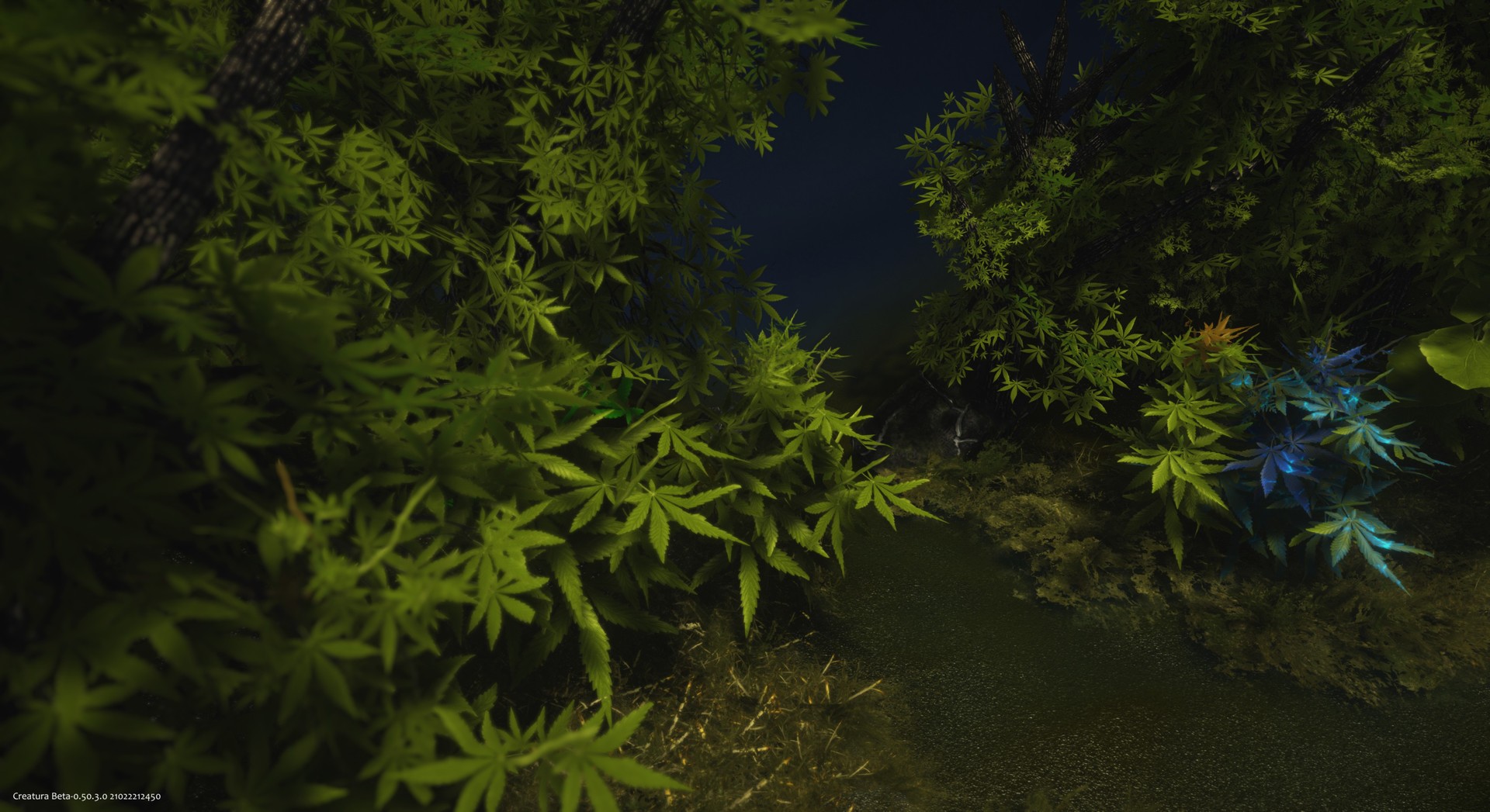 Creatura screenshot 1