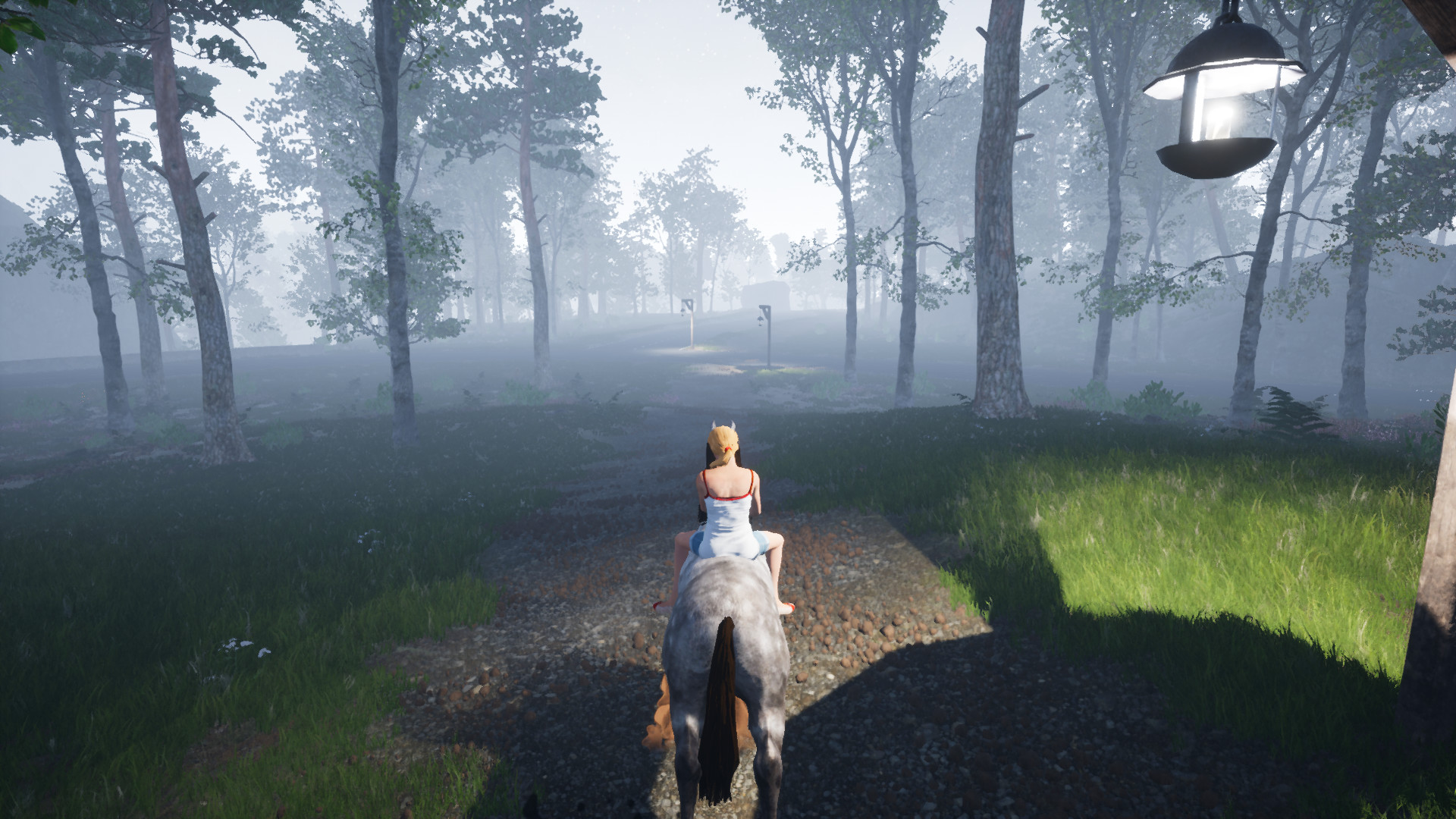 Horse Riding Deluxe screenshot 13