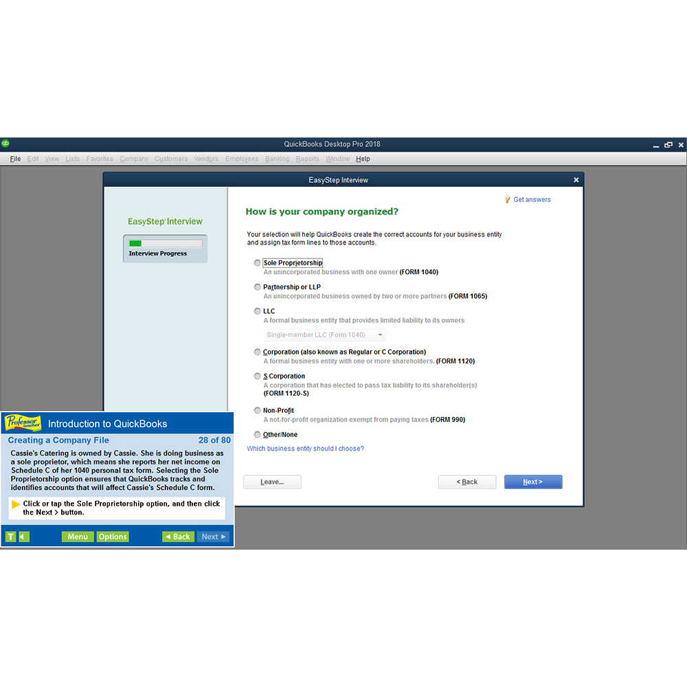 Professor Teaches QuickBooks 2018 screenshot 5