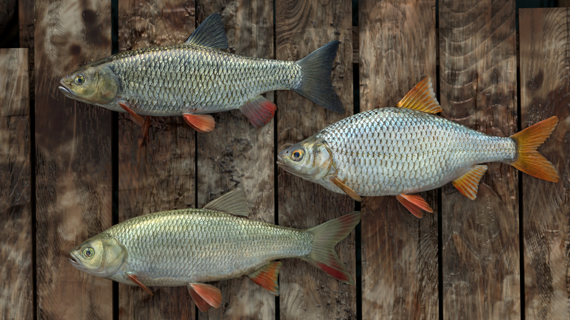 Professional Fishing screenshot 2