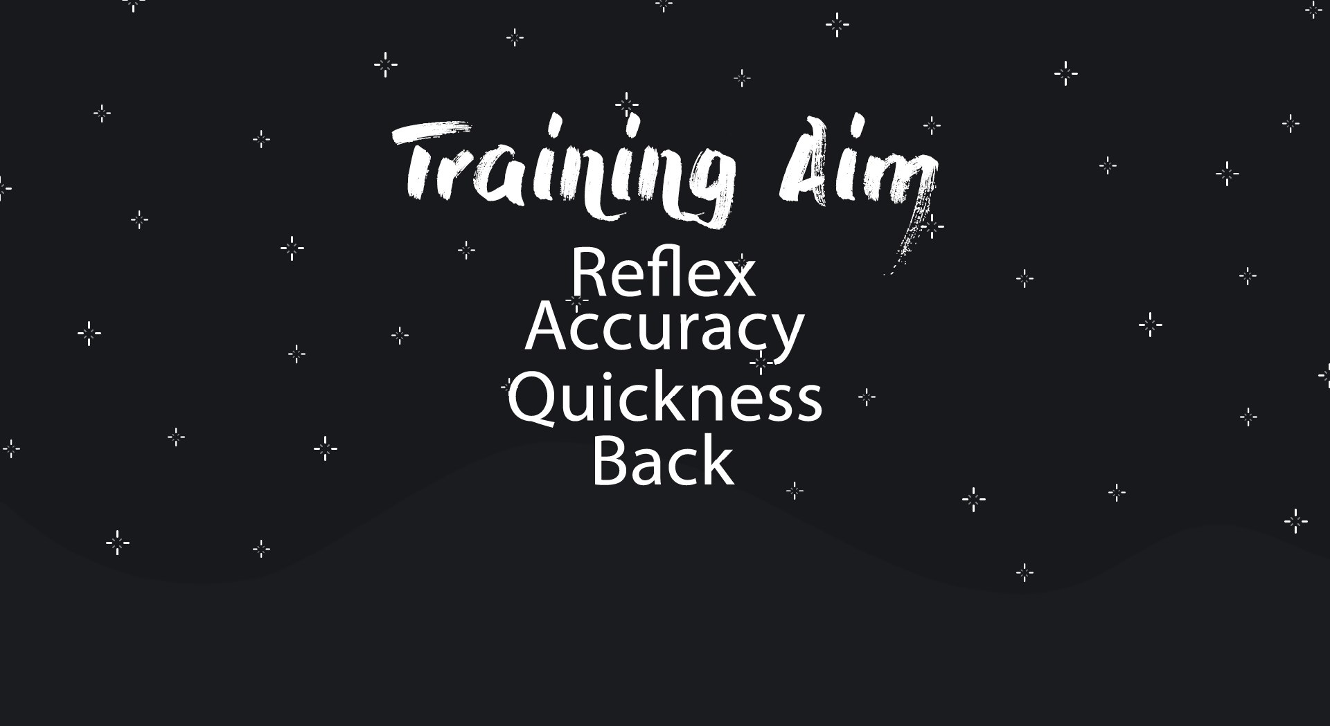 Training aim screenshot 2