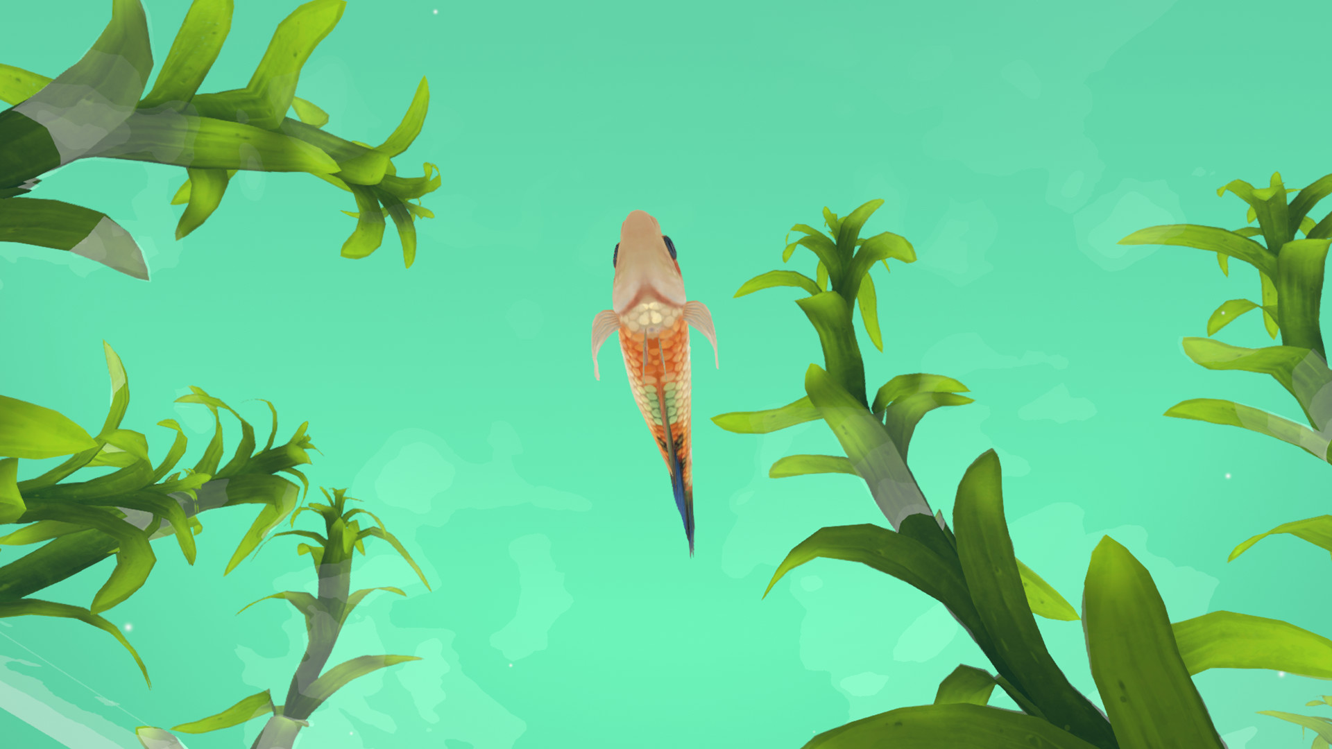 FISHERY screenshot 8