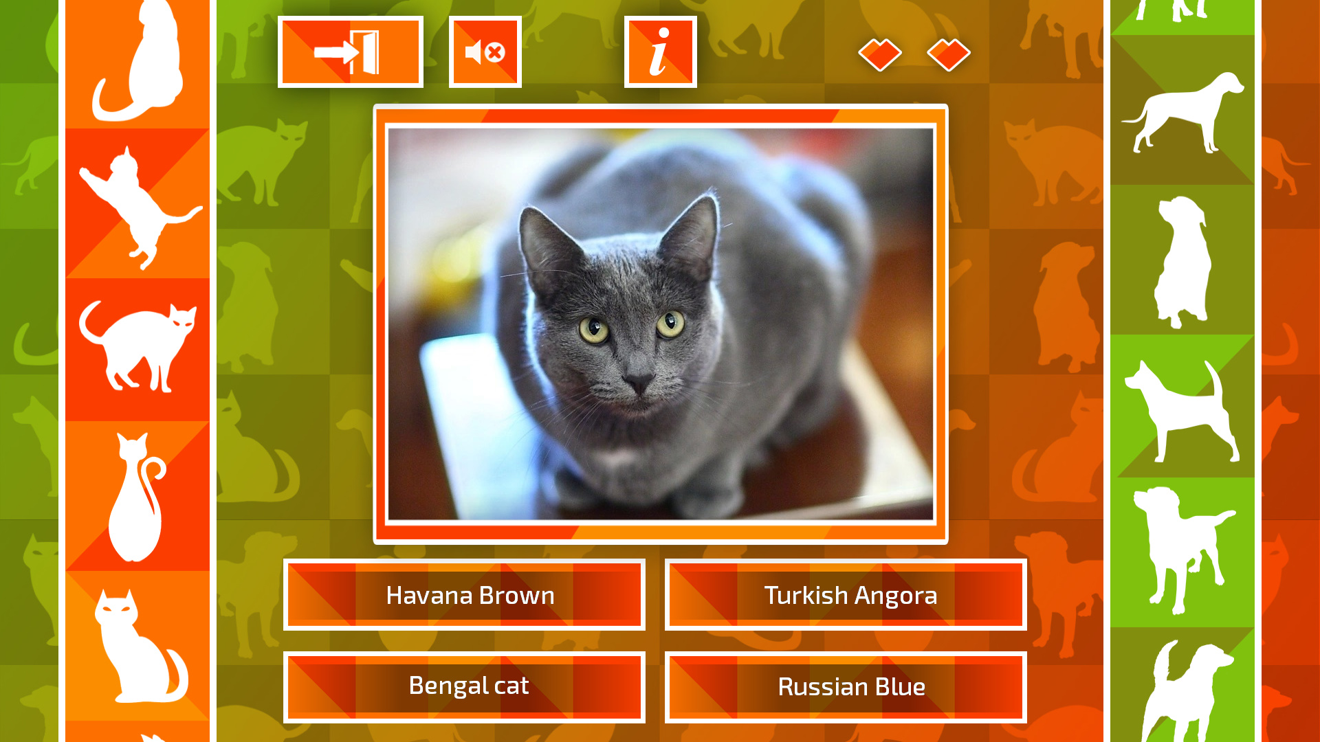 JQ: dogs & cats screenshot 5