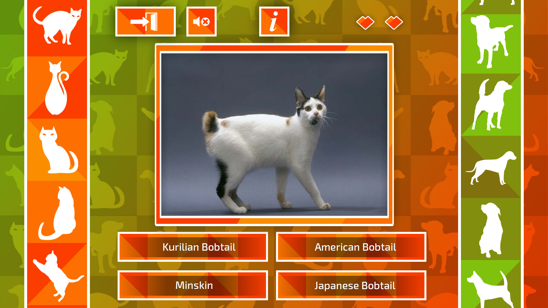 JQ: dogs & cats screenshot 1