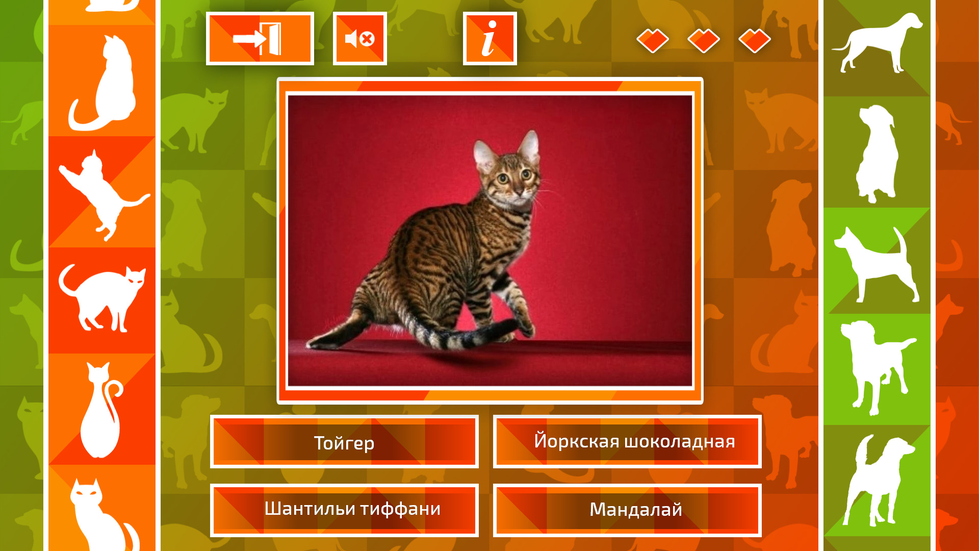 JQ: dogs & cats screenshot 2