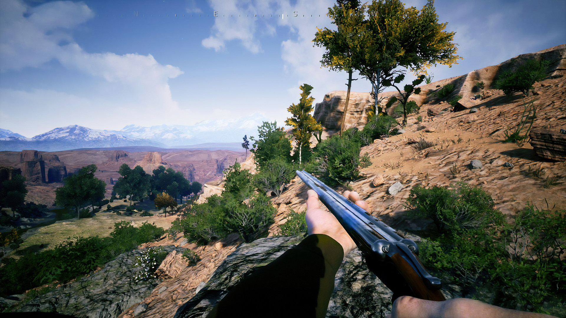 Outlaws of the Old West screenshot 14