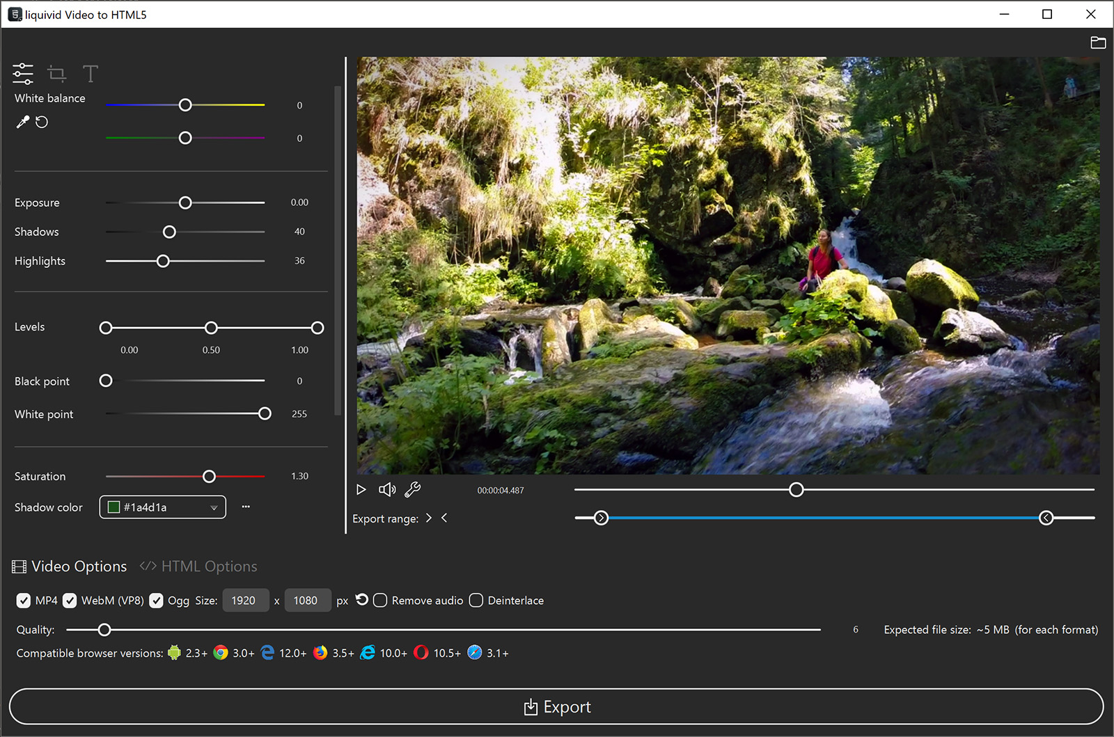 liquivid Video to HTML5 screenshot 5