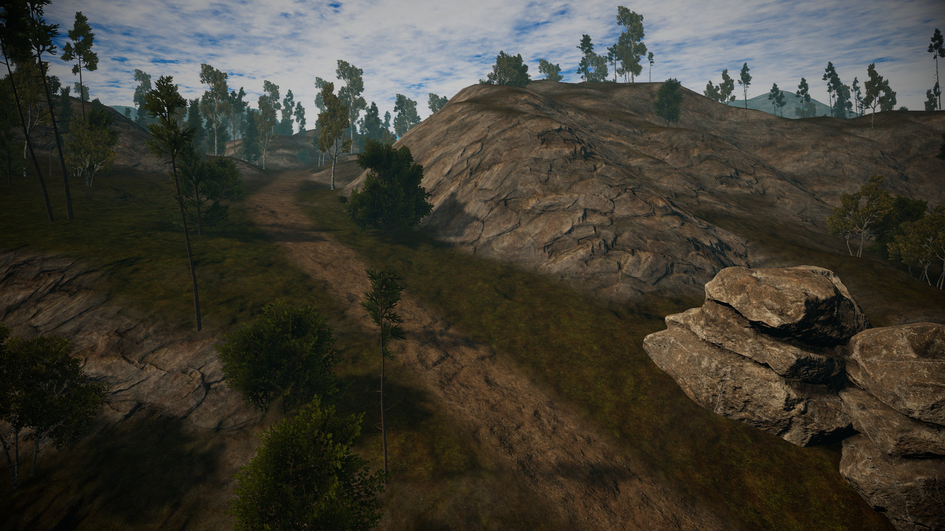 Dirt Bike Insanity screenshot 13