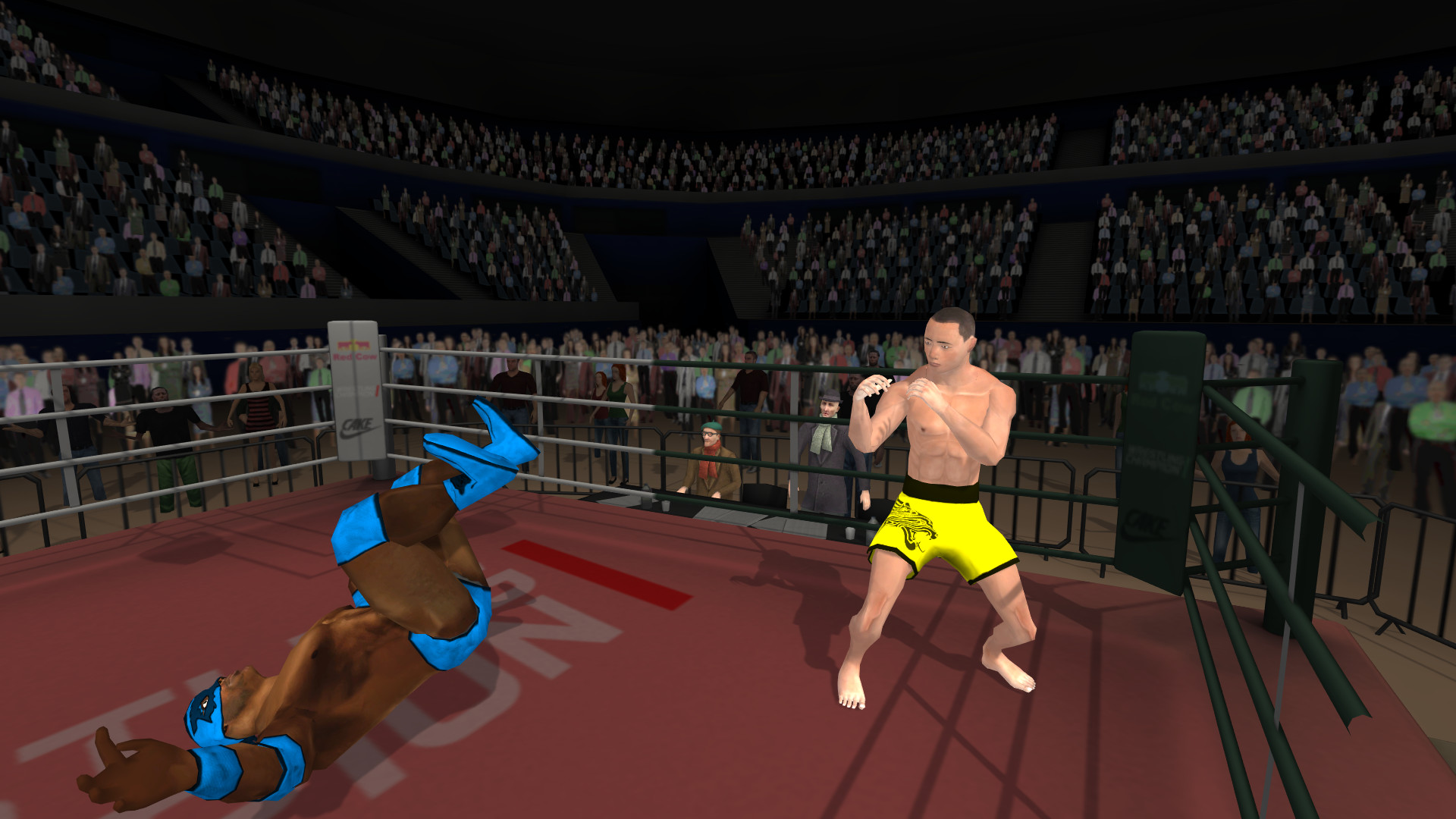 Wrestlers Without Boundaries screenshot 2