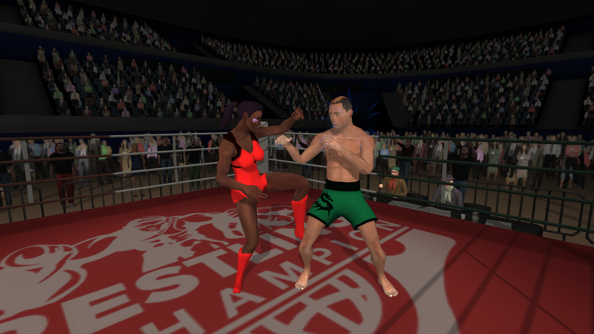 Wrestlers Without Boundaries screenshot 3