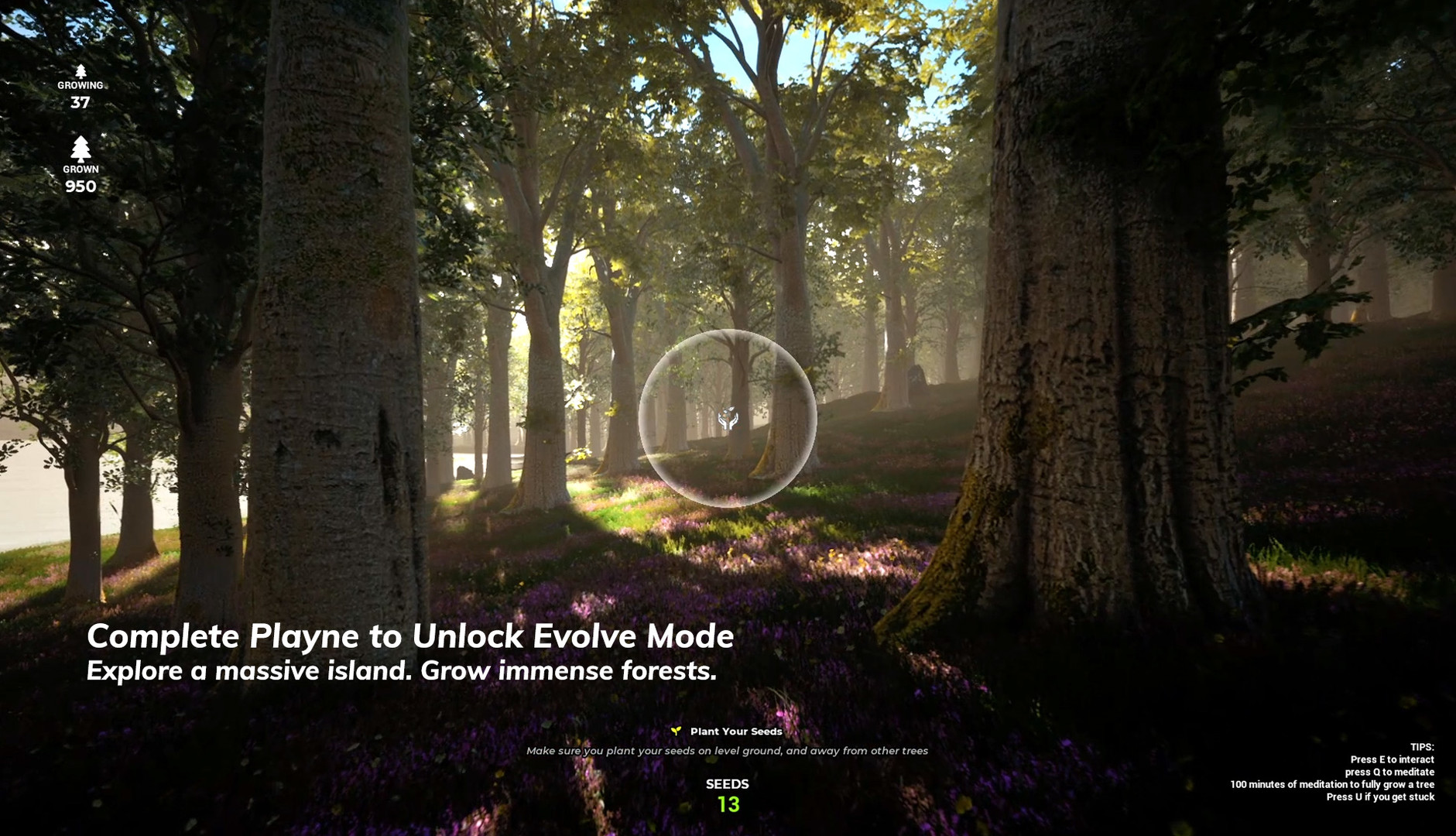 PLAYNE : The Meditation Game screenshot 9