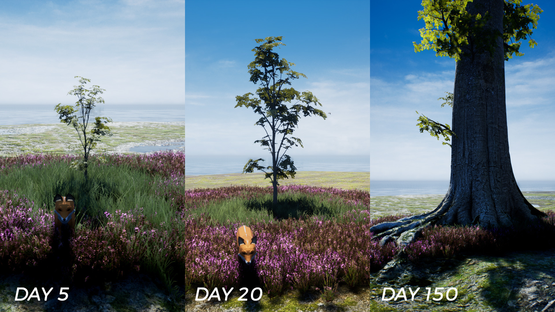 PLAYNE : The Meditation Game screenshot 3