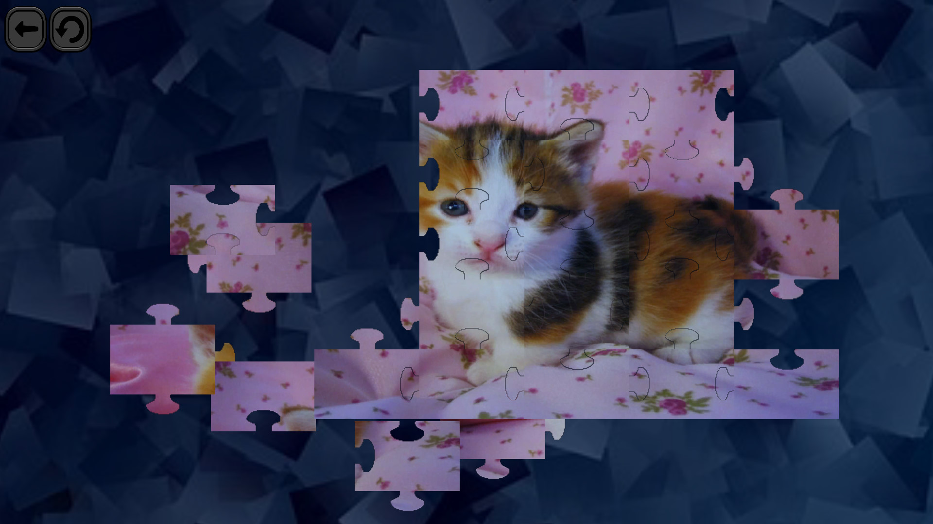 Puzzles for smart: Cats screenshot 4