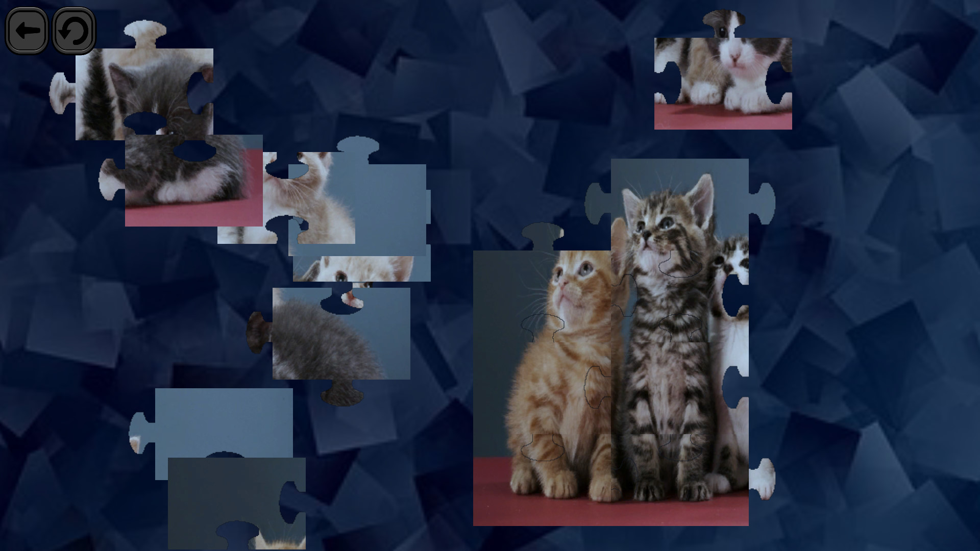 Puzzles for smart: Cats screenshot 2