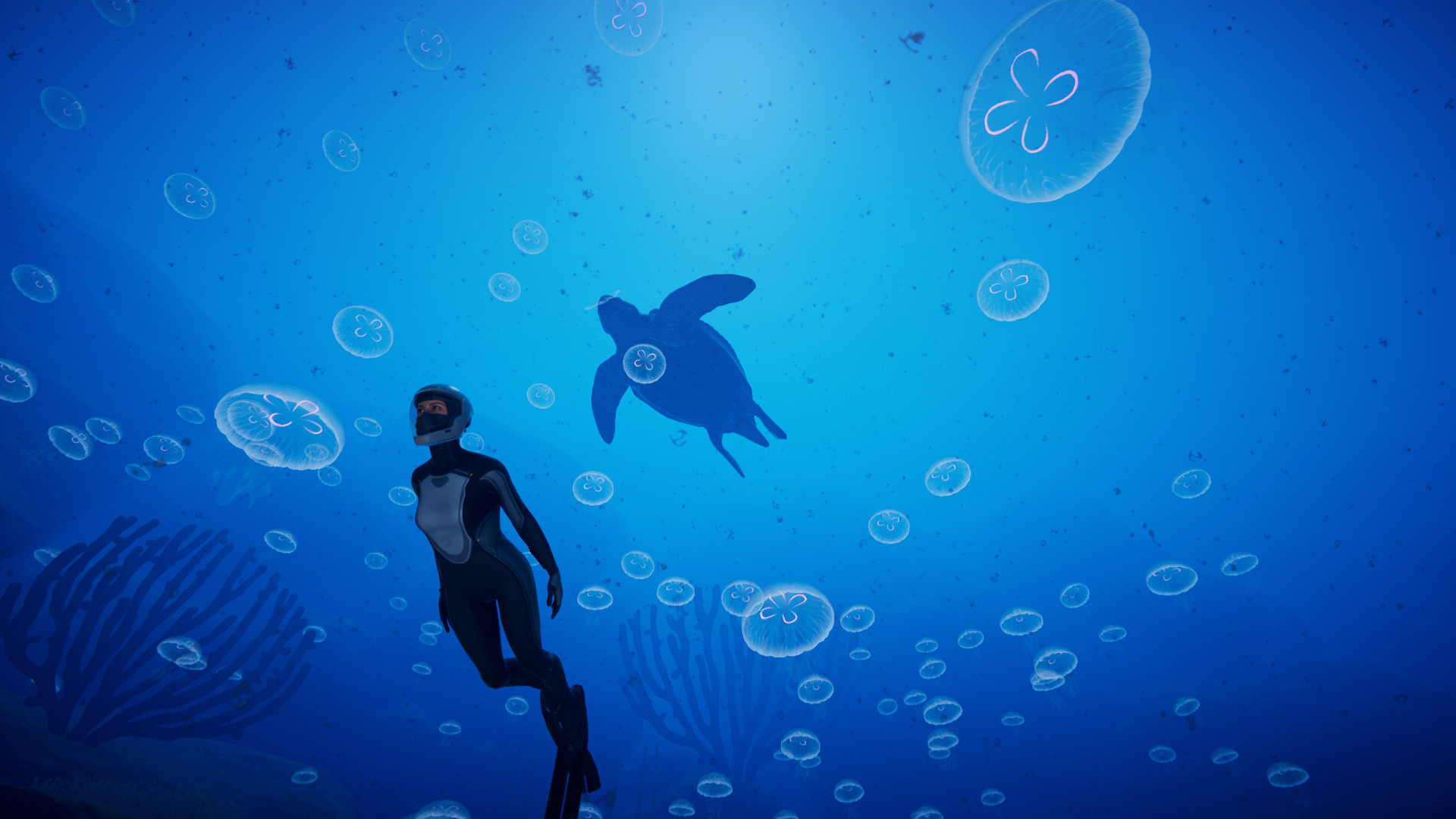 Beyond Blue screenshot 12