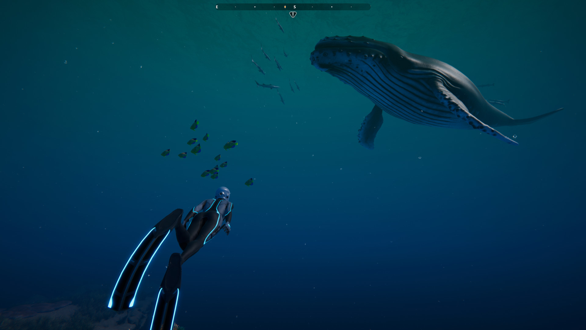 Beyond Blue screenshot 16