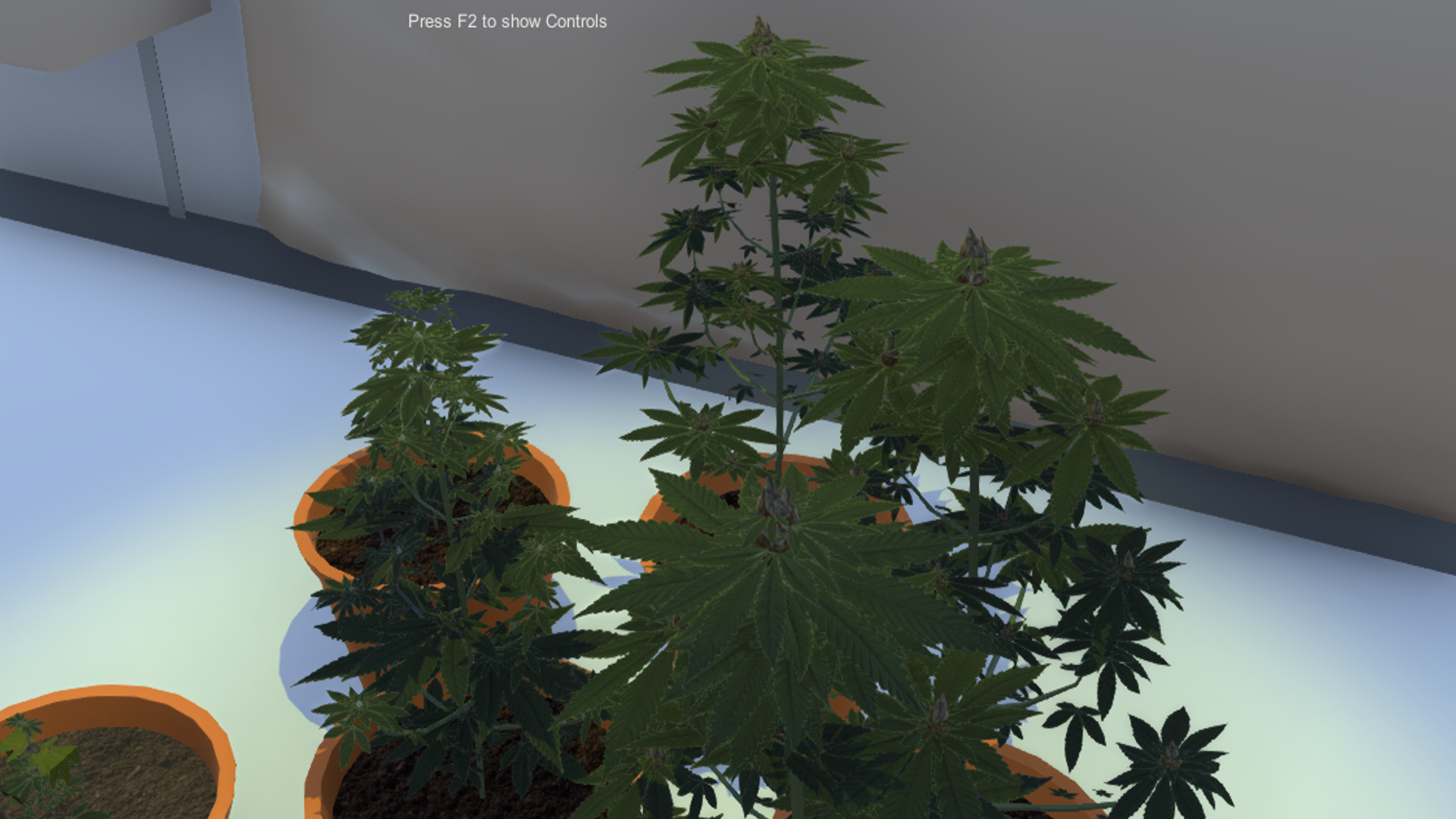 Dr Greenstuff screenshot 2