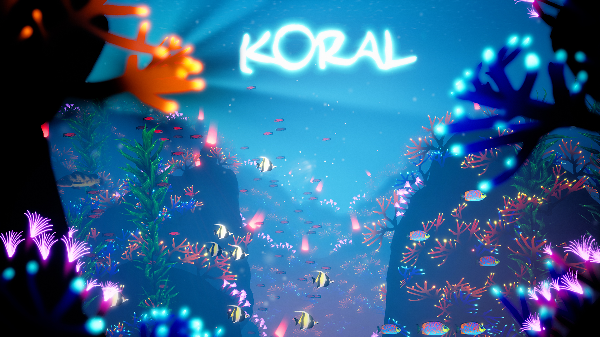 Koral screenshot 7