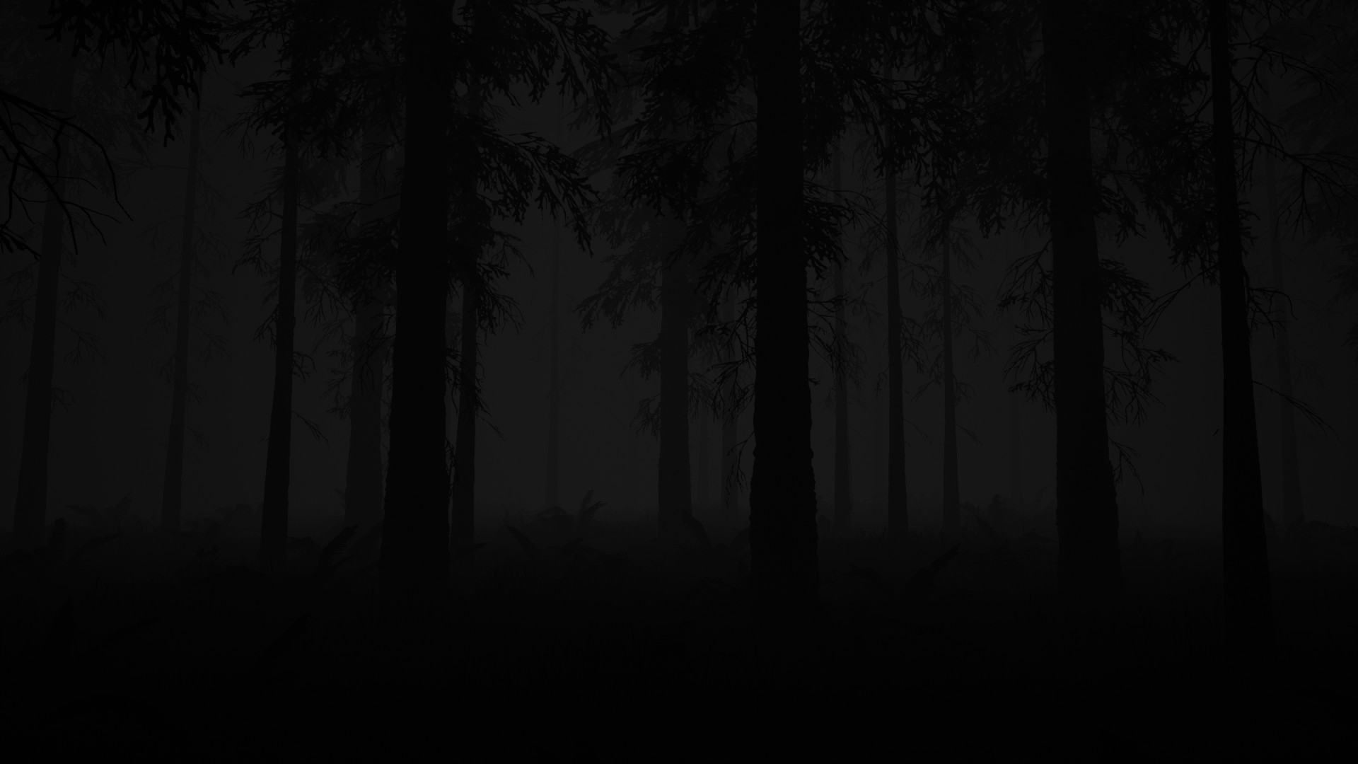 Study of Unusual: Forest of Secrets screenshot 4