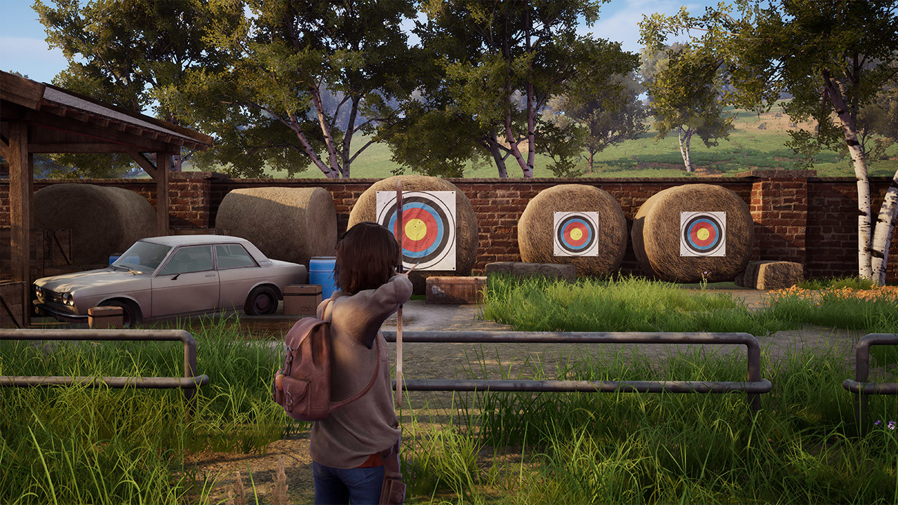 Windstorm: An Unexpected Arrival screenshot 3