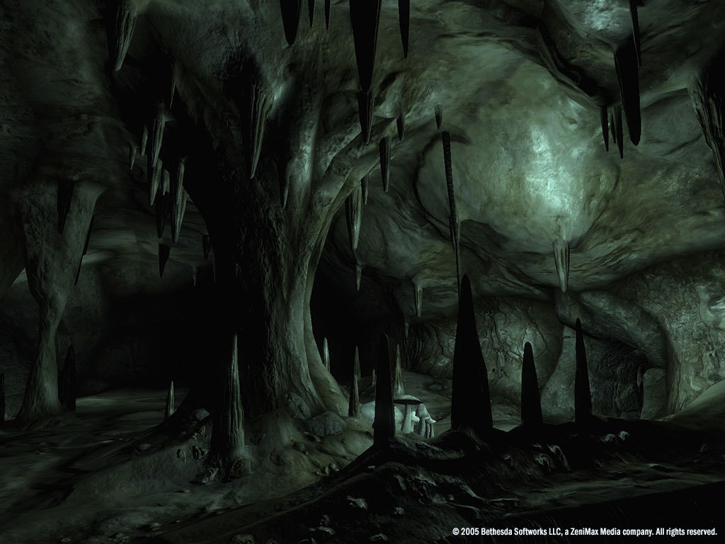 The Elder Scrolls IV: Oblivion® Game of the Year Edition Deluxe (2009) screenshot 4