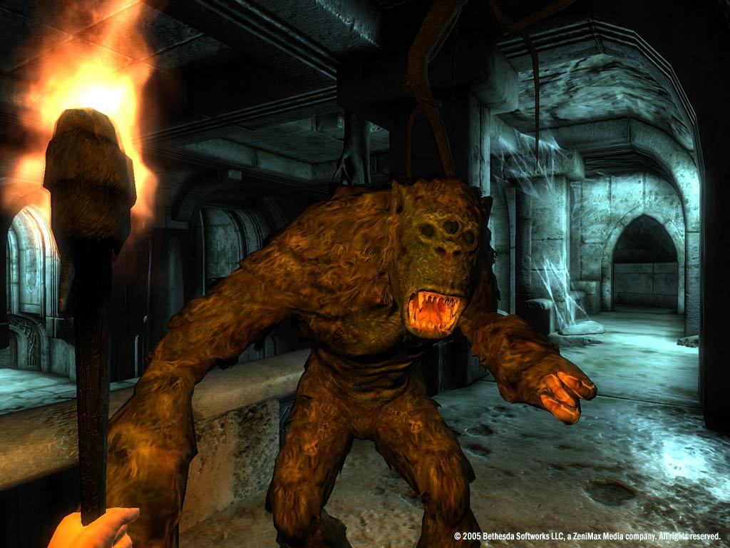 The Elder Scrolls IV: Oblivion® Game of the Year Edition Deluxe (2009) screenshot 6