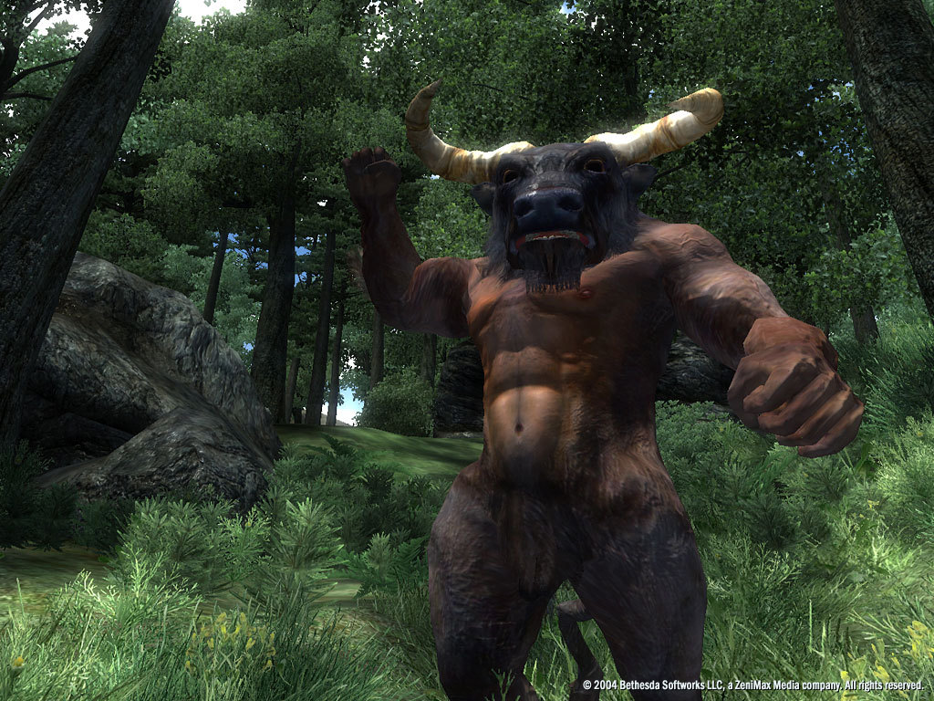 The Elder Scrolls IV: Oblivion® Game of the Year Edition Deluxe (2009) screenshot 7