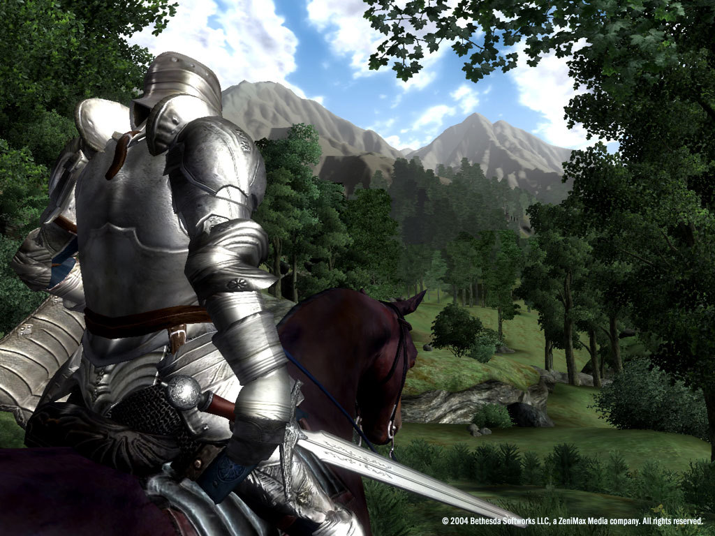 The Elder Scrolls IV: Oblivion® Game of the Year Edition Deluxe (2009) screenshot 9