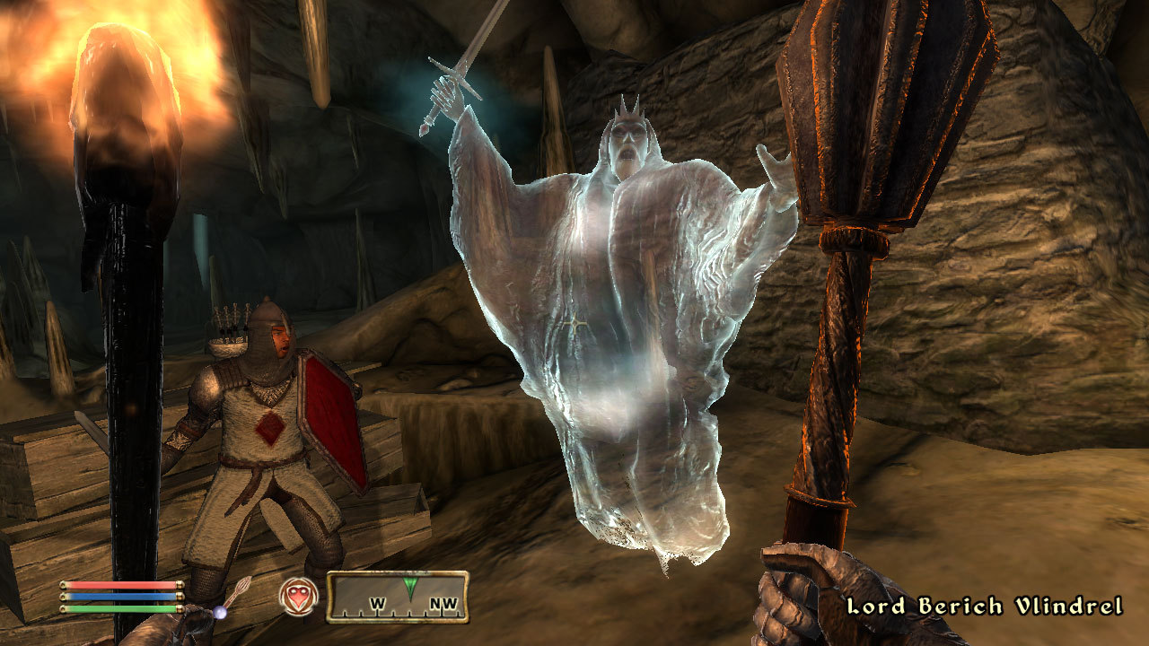 The Elder Scrolls IV: Oblivion® Game of the Year Edition Deluxe (2009) screenshot 15