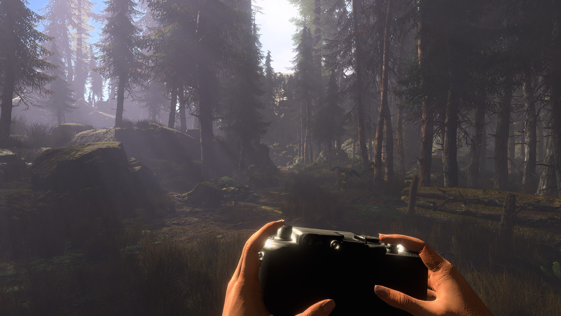 The Peterson Case screenshot 2