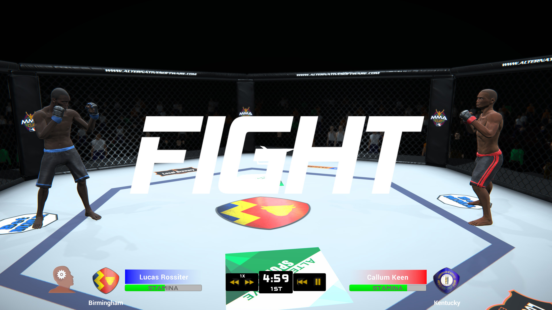 MMA Team Manager screenshot 2
