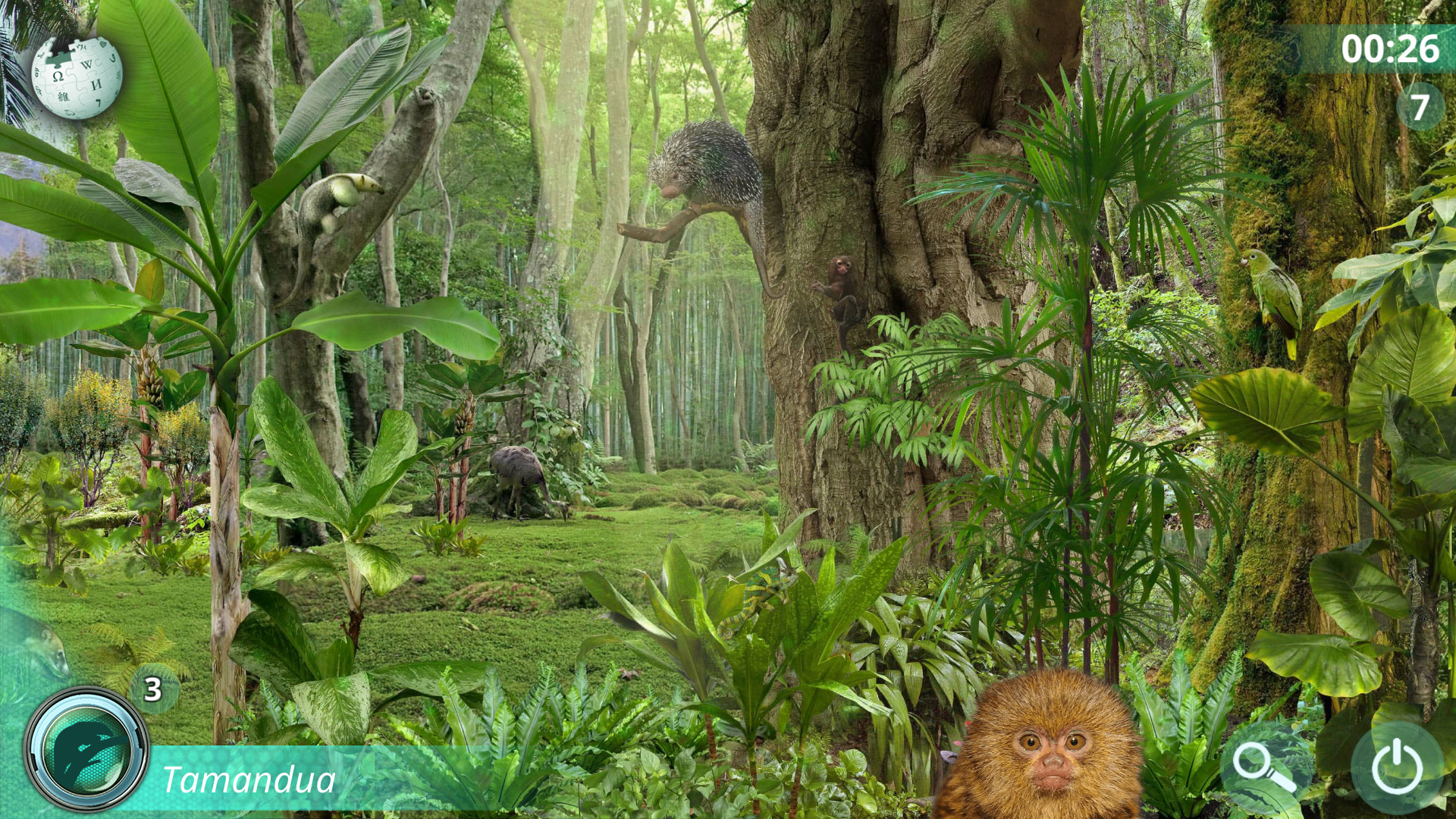 Hidden Animals: Photo Hunt - Worldwide Safari screenshot 5